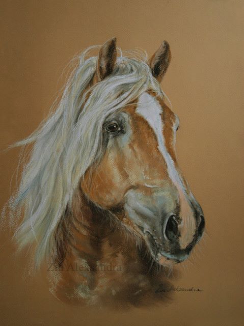 479x640 The 670 Best Images - Painting Horse Colors