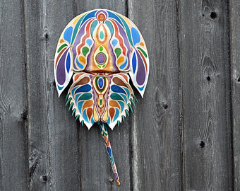 340x270 Horseshoe Crab Shell Etsy - Painting Horseshoe Crabs
