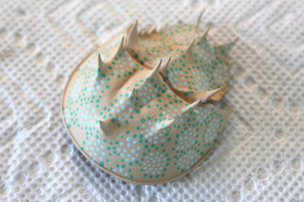 1024x682 Painting Horseshoe Crab Shells - Painting Horseshoe Crabs