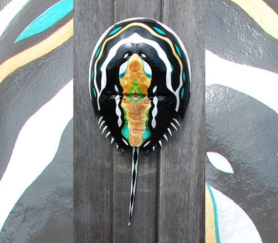 570x500 The 27 Best Horseshoe Crabs Images On Crabs, Horseshoe - Painting Horseshoe Crabs