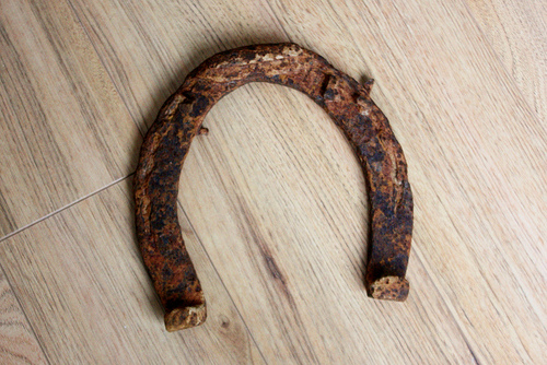 500x334 How To Paint A Horseshoe - Painting Horseshoes