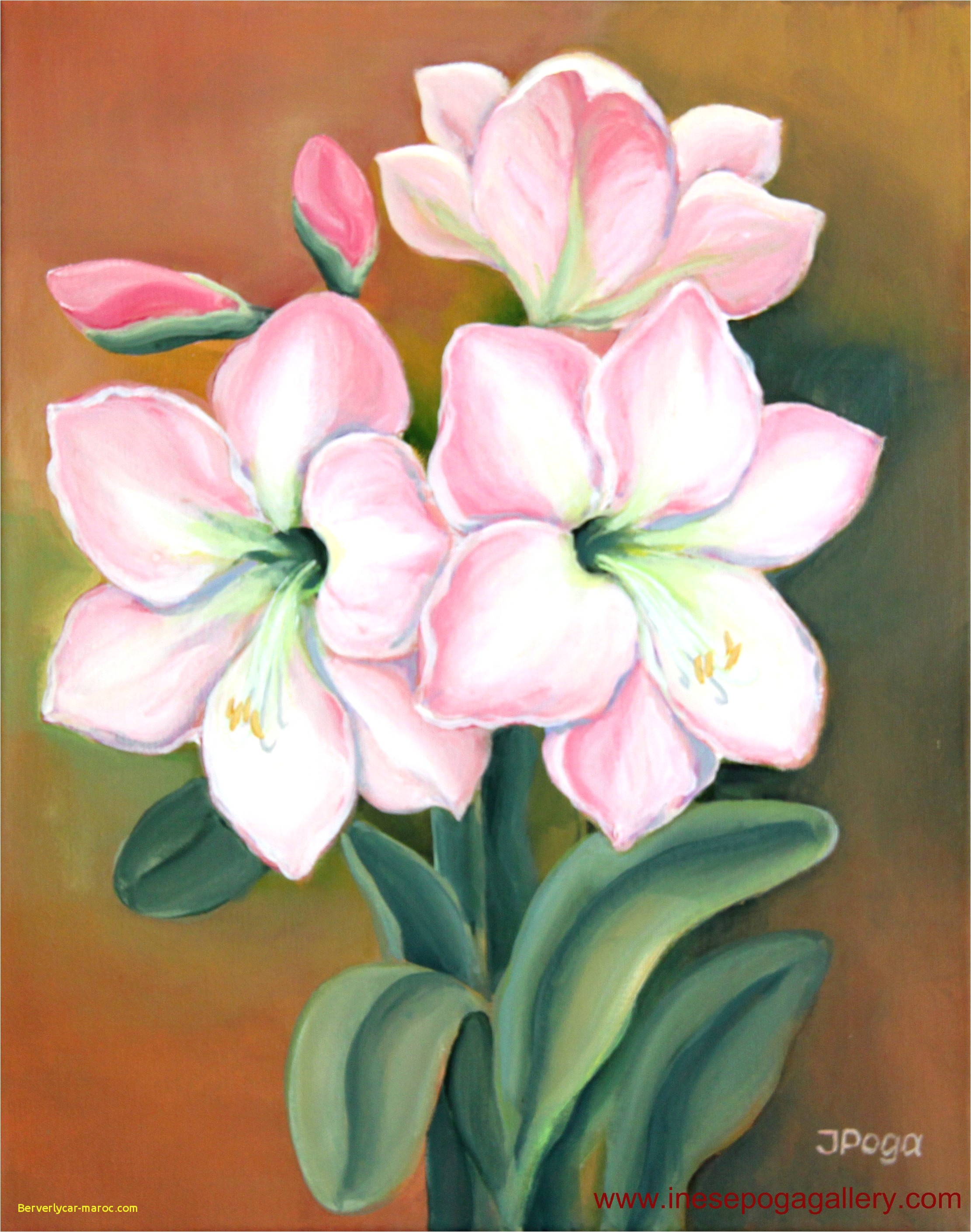 Painting Ideas Flowers At Paintingvalley Com Explore Collection Of Painting Ideas Flowers