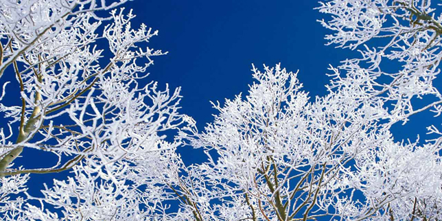 644x322 Guidelines For Painting In Cold Weather - Painting In Cold Weather