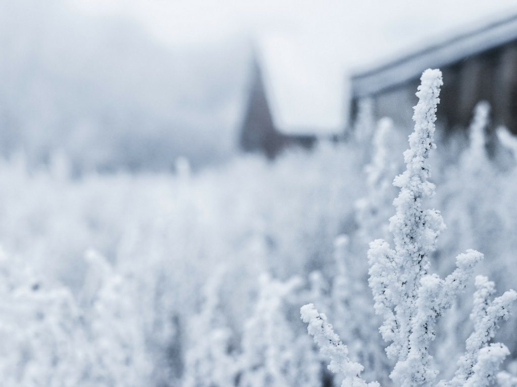 Painting In Cold Weather at Explore collection of