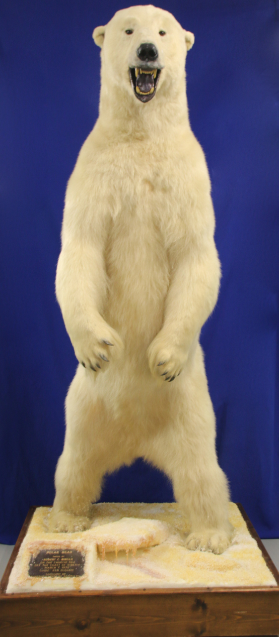 562x1280 Jack Savitsky Crossing The Painting - Painting In Delaware