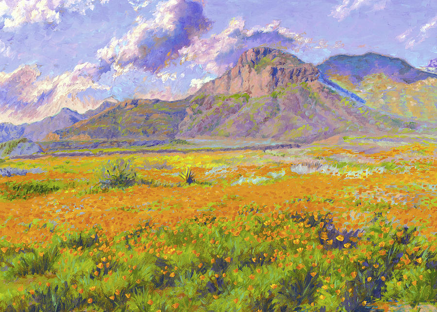 900x643 Transmountain Poppies - Painting In El Paso