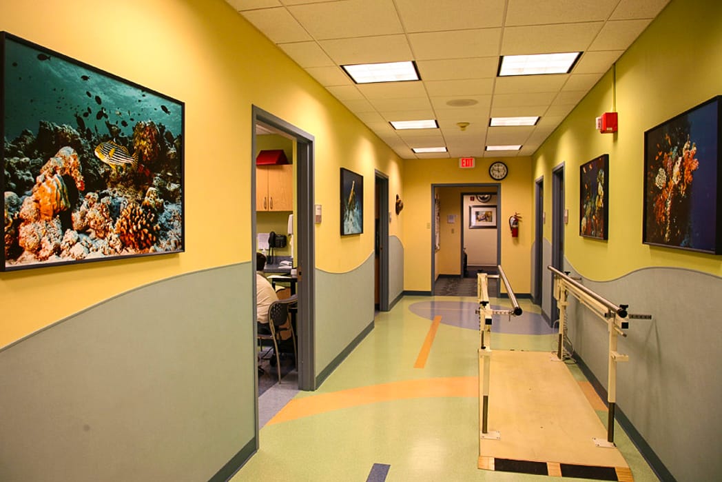 1048x699 Hospital Art Donations, Charity Art, Arts Therapy And Art - Painting In Hospitals