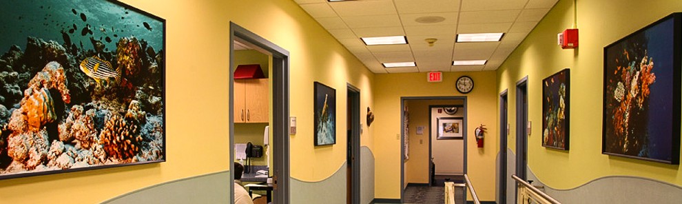 990x296 Photographic Art In Hospitals Aids The Healing Process - Painting In Hospitals