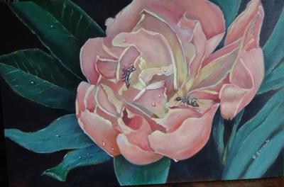 400x264 Pictures How To Paint Large Flowers, - Painting Large Flowers