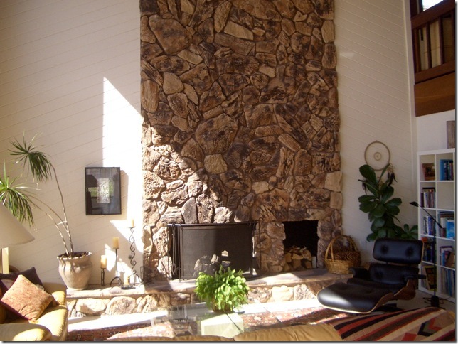 644x484 This Fresh Fossil What Would You Do - Painting Lava Rock