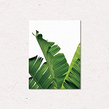 355x355 Canvas Wall Art Decor Framed Banana Leaves 9.8 X 11.8 - Painting Leaves On Canvas