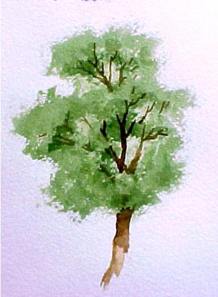 317x431 How To Paint Trees In Watercolor - Painting Leaves On Trees