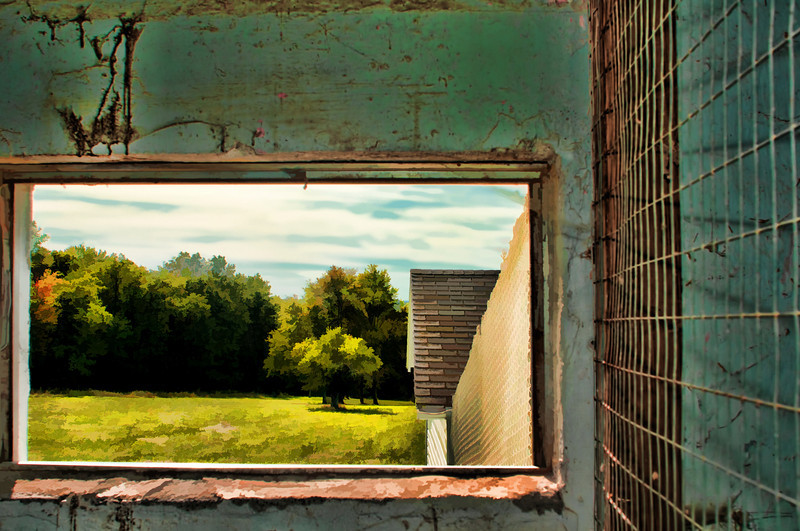 800x531 Shots Through Your Window (Birds, Photos, Photograph, Light - Painting Looking Through A Window