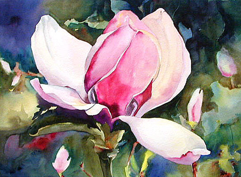 800x587 Kaysmithbrushworks Magnolias In Bloom - Painting Magnolia Leaves