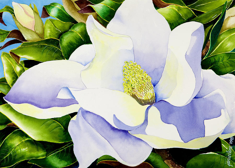900x642 Magnolia In Leaves Painting By Janis Grau - Painting Magnolia Leaves