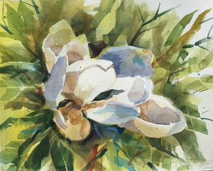 300x241 Magnolia Watercolor Paintings Fine Art America - Painting Magnolia Leaves