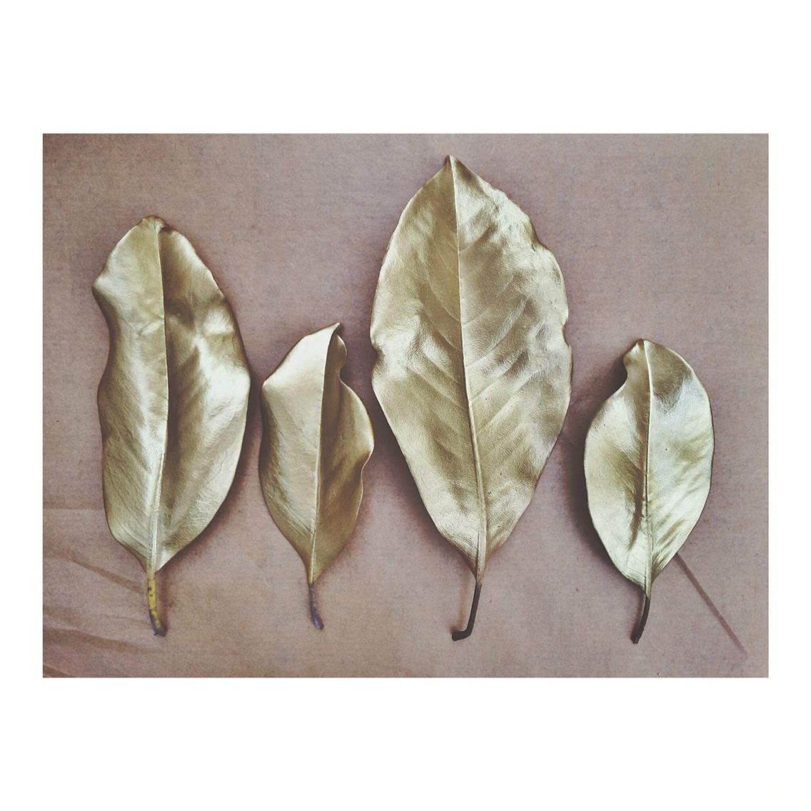 1136x1136 Spray Paint Magnolia Leaves Holidaysparties - Painting Magnolia Leaves
