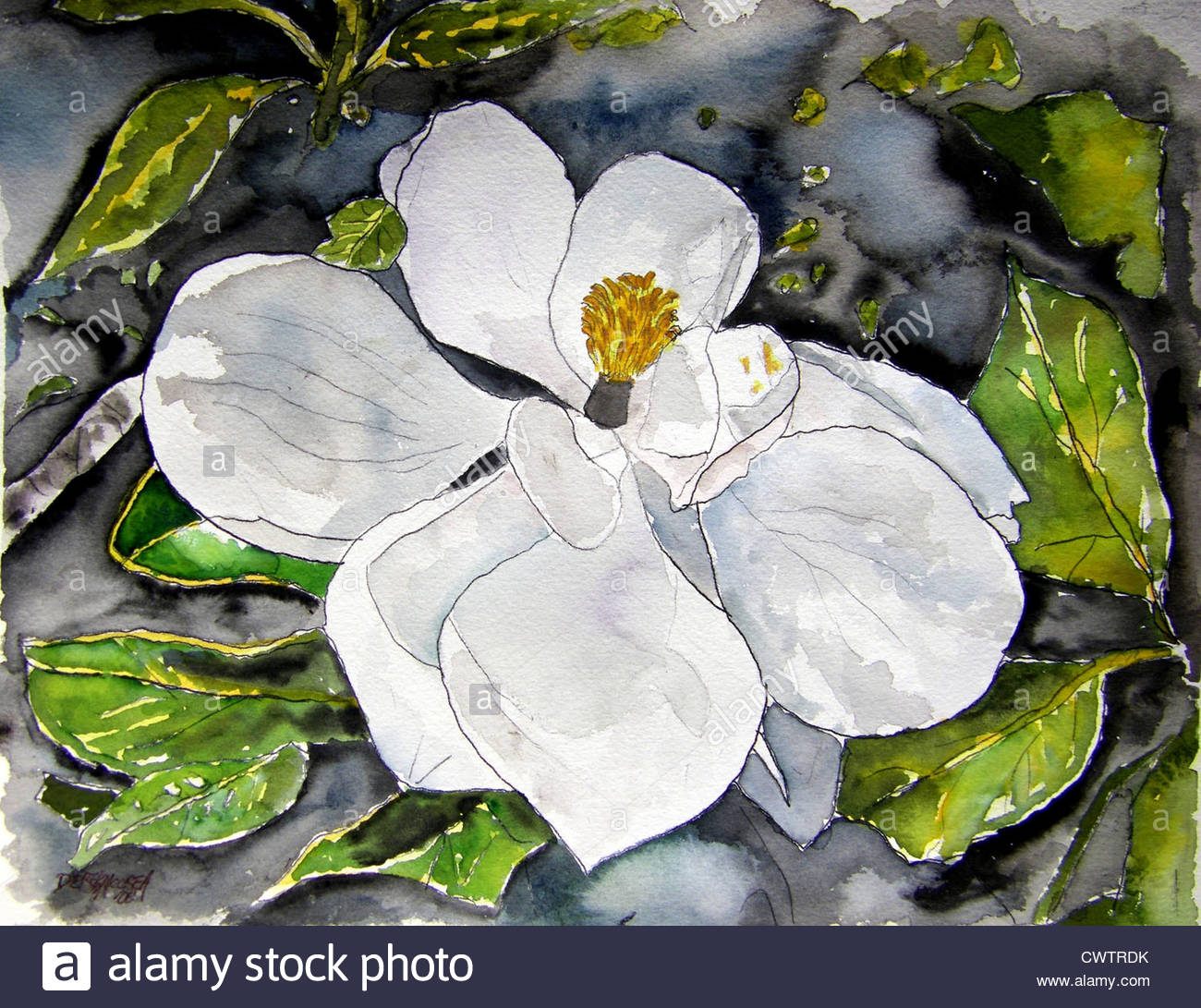 1300x1091 Watercolor Painting Leaves Flower Stock Photos Amp Watercolor - Painting Magnolia Leaves