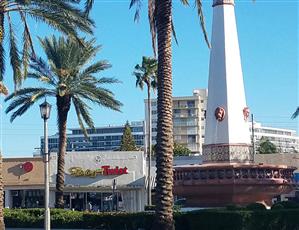 299x230 Paint, Sip Wine, Have Fun - Painting Miami