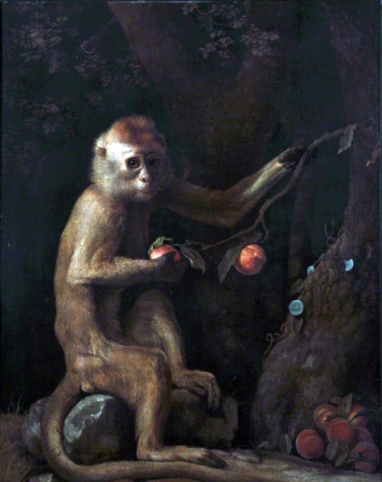 Painting Monkey