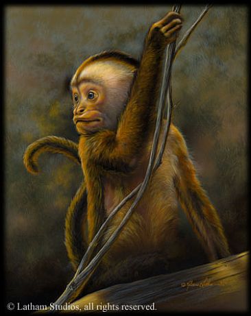 366x461 Monkey - Painting Monkey