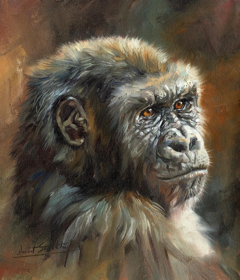 771x900 Noble Ape Painting By David Stribbling - Painting Monkey
