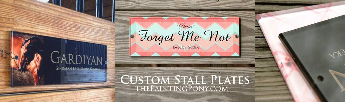 1100x327 Horse Gifts Amp Accessories - Painting Name Plates