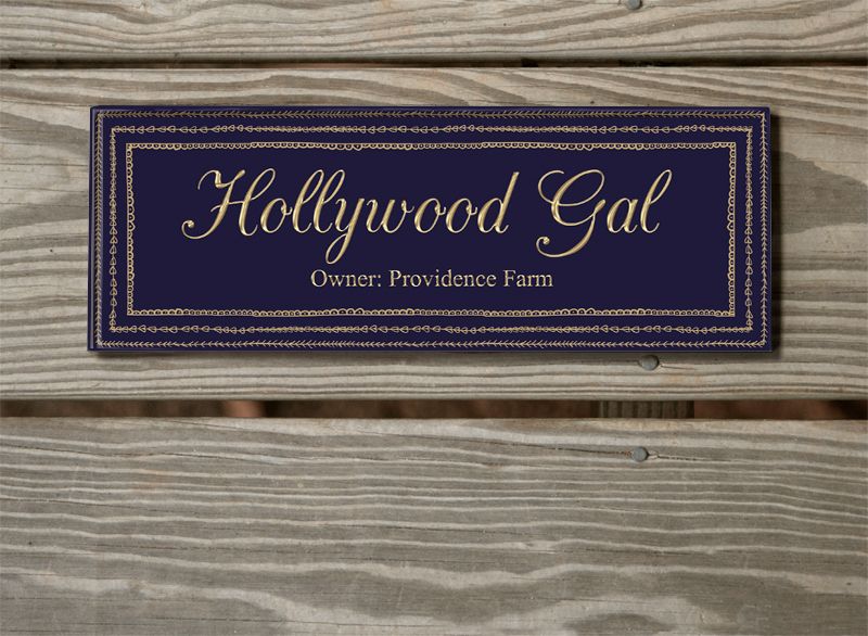 800x586 Art Decor Doodles Custom Acrylic Horse Stall Name Plate Horse - Painting Name Plates