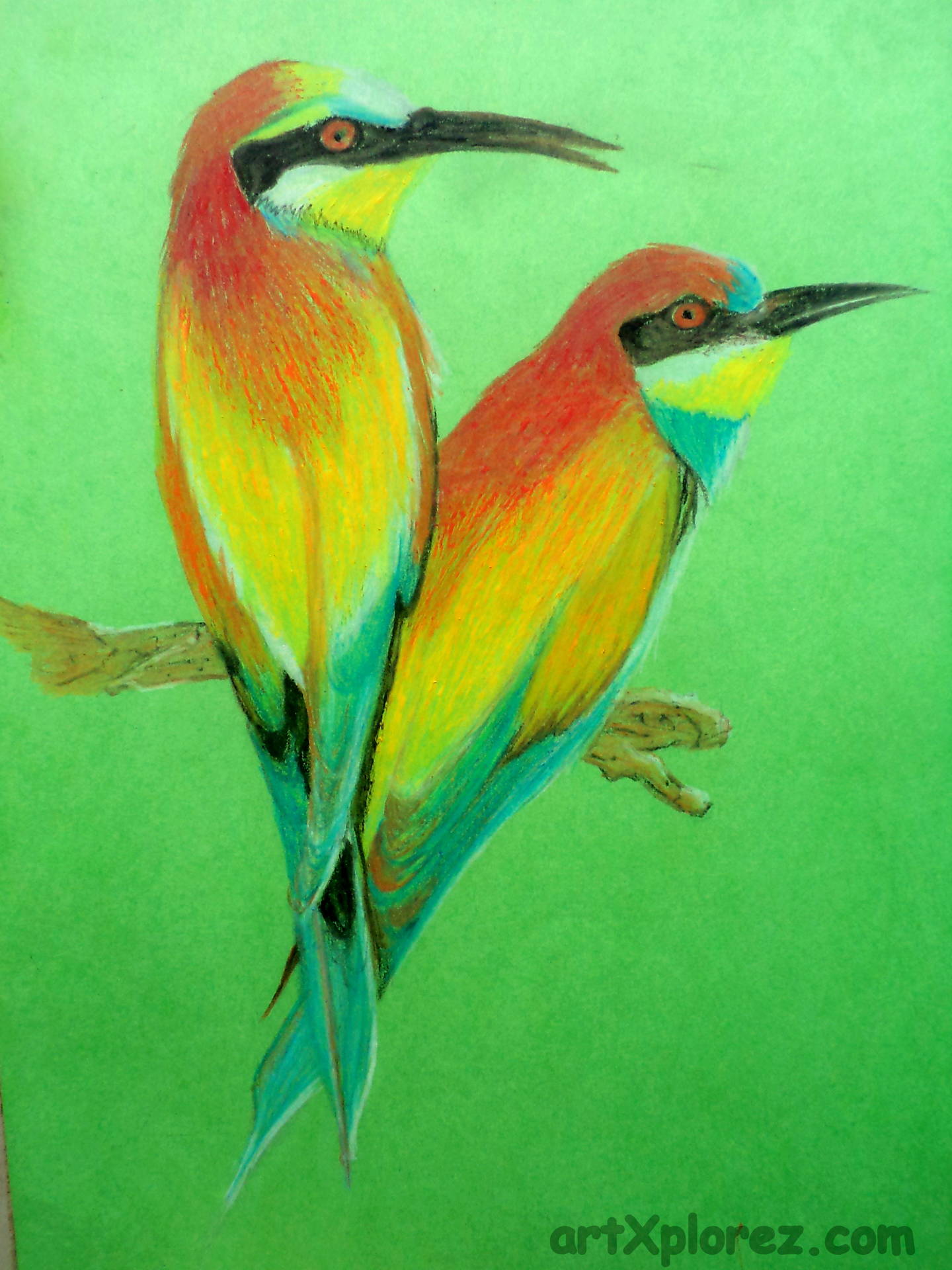 1440x1920 Drawing Birds Using Oil Pastels Artxplorez - Painting Of A Bird