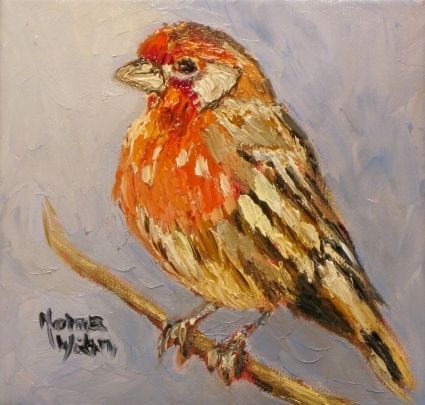 425x405 Norma Wilson Original Oil Red Finch Bird Painting Art By Artist - Painting Of A Bird
