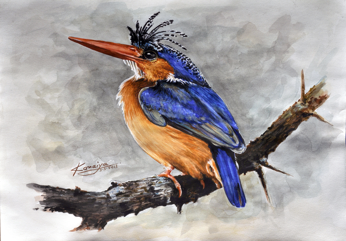 1127x788 Watercolor Painting Of A Bird - Painting Of A Bird