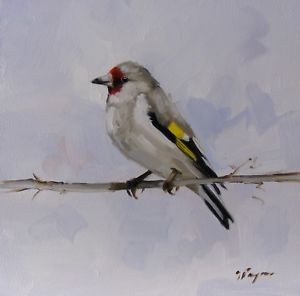 300x296 Bird Oil Painting Of A Goldfinch By John Payne Wildlife Art Ebay - Painting Of A Bird