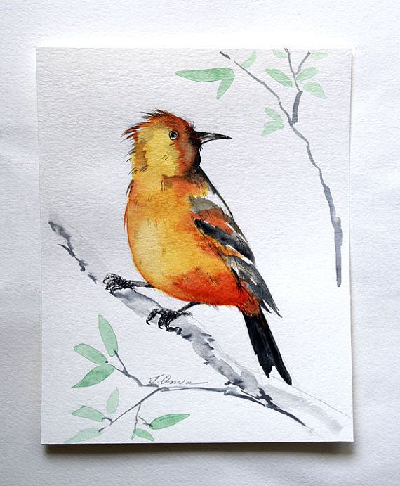570x691 Bird Painting Orange And Yellow Bird On Branch Painting Original - Painting Of A Bird
