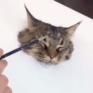 360x360 An Extremely Realistic 3d Painting Of A Cat - Painting Of A Cat
