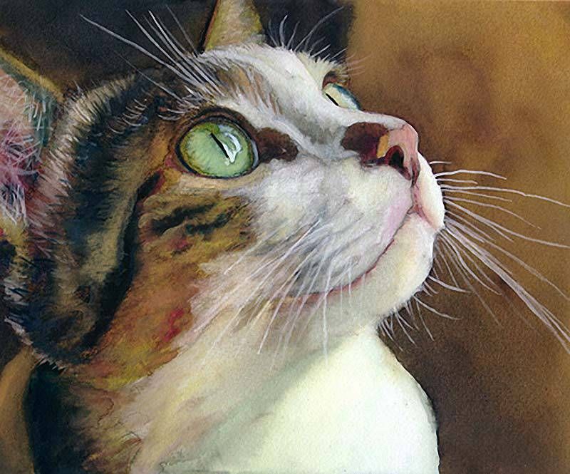 800x665 Artodyssey Alex Carter - Painting Of A Cat