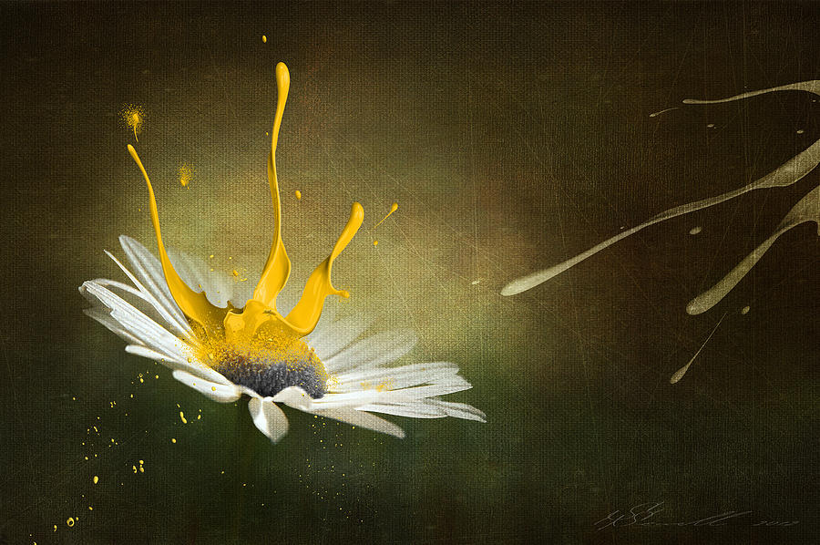 900x598 Painting Daisy Digital Art By Svetlana Sewell - Painting Of A Daisy