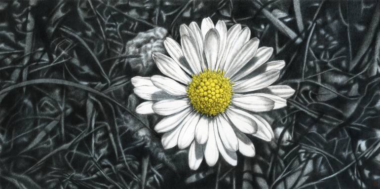 770x383 Saatchi Art Daisy Painting By Hideyuki Sobue - Painting Of A Daisy
