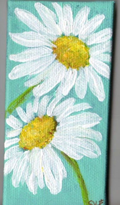 455x777 White Shasta Daisy Painting On Aqua Original Mini Canvas, Mini - Painting Of A Daisy