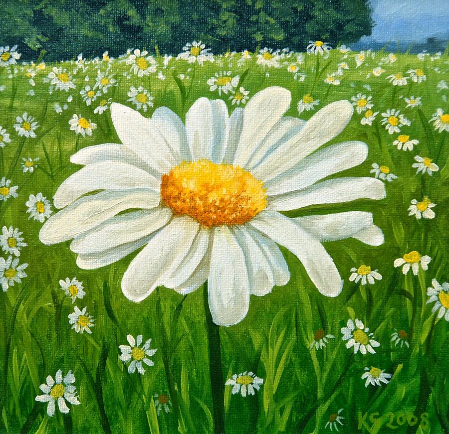 900x871 Daisy Meadow Canvas Print Canvas Art By Katharine Green - Painting Of A Daisy