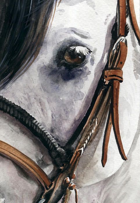 482x700 Horse Head Painting - Painting Of A Horse Head
