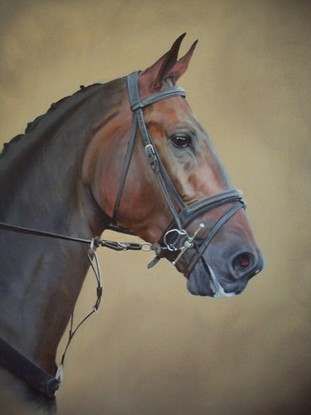 311x415 Original Oil Painting - Painting Of A Horse Head