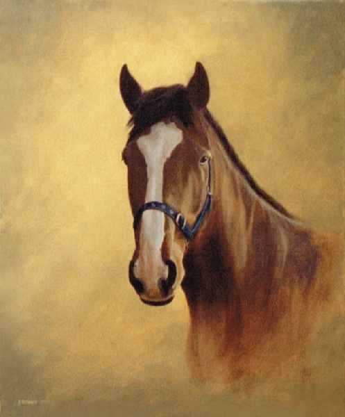 497x600 Pet Portraits - Painting Of A Horse Head