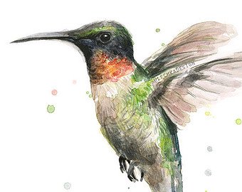 340x270 Hummingbird Art Etsy - Painting Of A Hummingbird