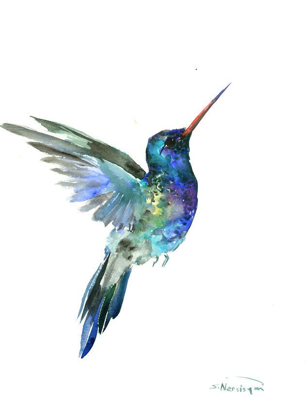 631x830 Hummingbird Painting, 14 X 11in,bright Color Flowers, Hummingbird - Painting Of A Hummingbird