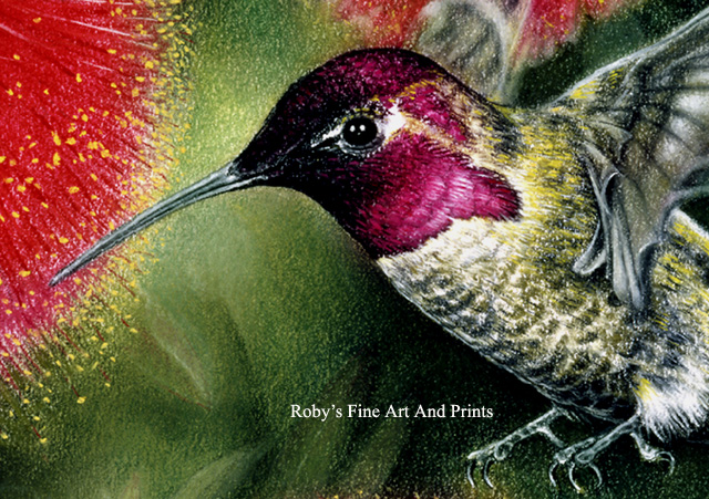 640x451 Pastel Anna's Hummingbird Painting - Painting Of A Hummingbird