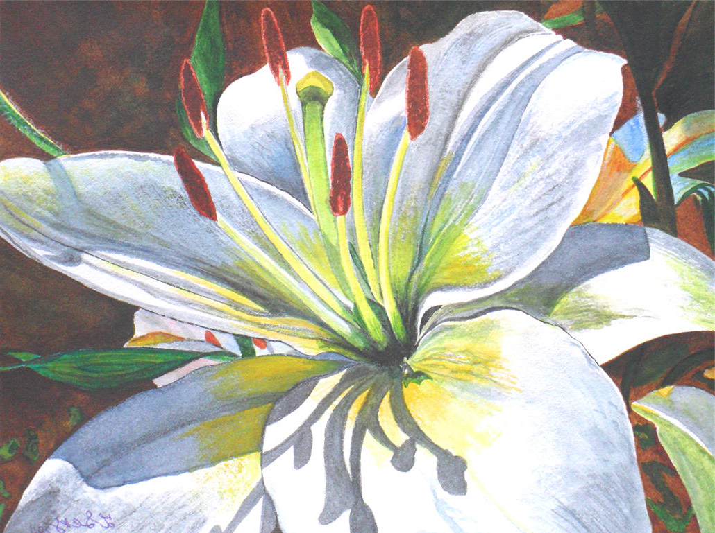 1030x769 Painting Of A Lily Lily's Watercolor Paintings Beautiful Sunny - Painting Of A Lily