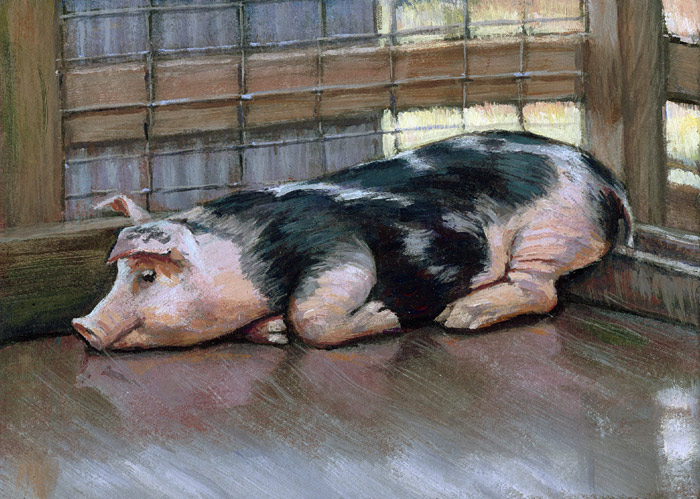 700x499 Snoozin' Lesley Spanos Art - Painting Of A Pig