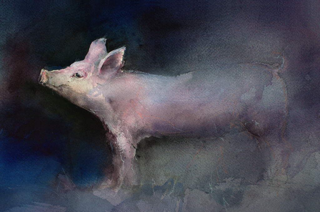 1024x681 Watercolor Pig Splashing Paint - Painting Of A Pig