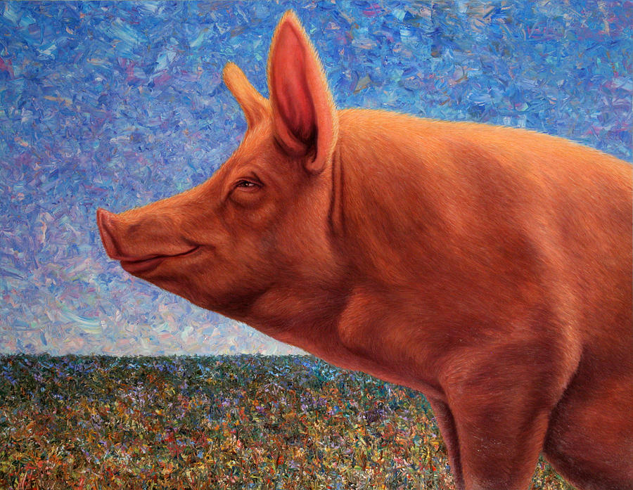 900x697 Free Range Pig Painting By James W Johnson - Painting Of A Pig