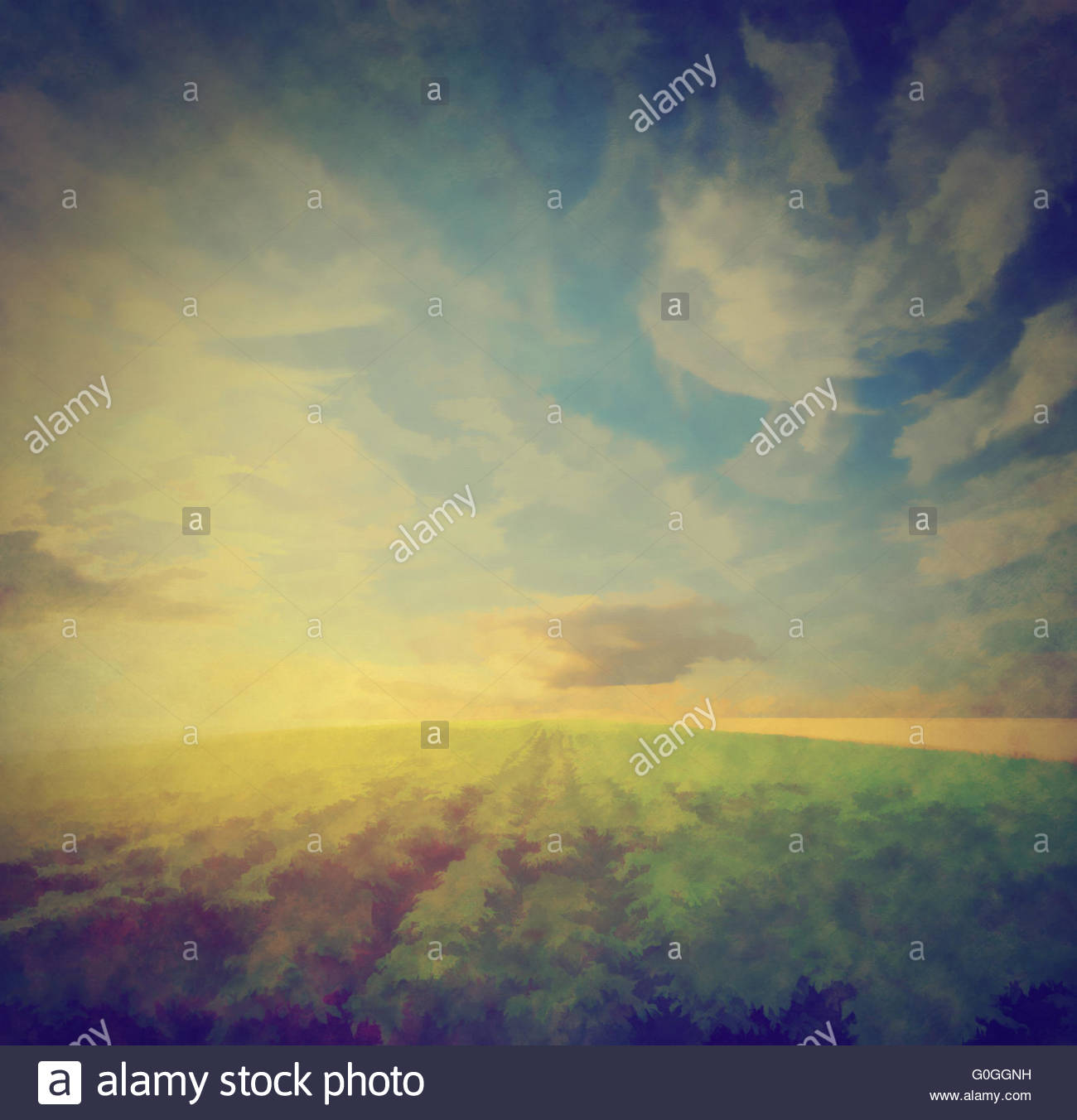 1300x1352 Vintage Painting Of A Potato Field - Painting Of A Potato